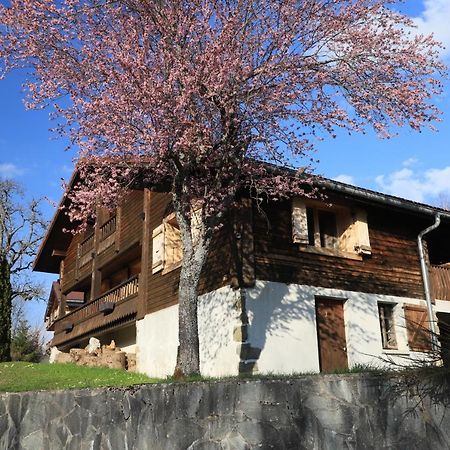 Sous Les Ecotagnes Villa Les Villards-sur-Thones Luaran gambar