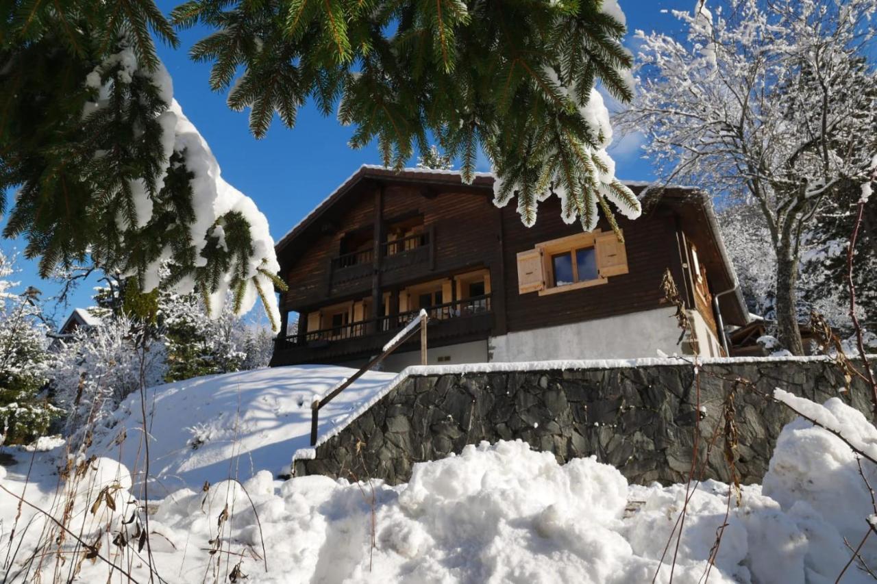 Sous Les Ecotagnes Villa Les Villards-sur-Thones Luaran gambar