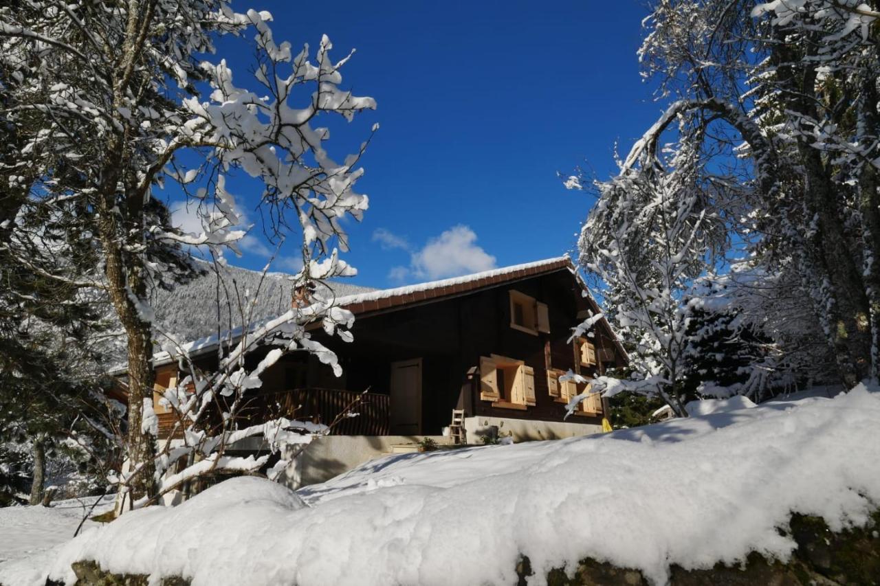 Sous Les Ecotagnes Villa Les Villards-sur-Thones Luaran gambar