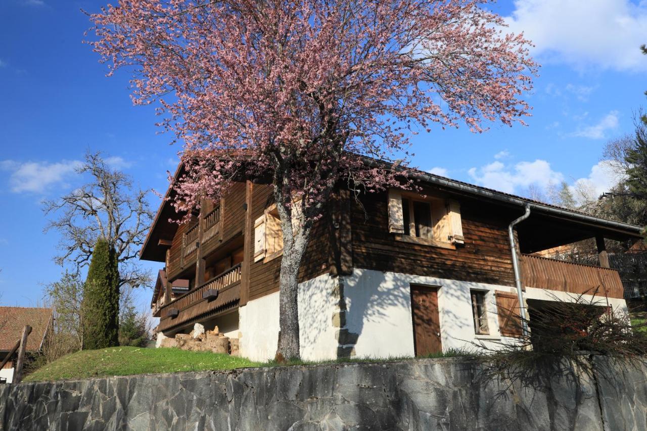 Sous Les Ecotagnes Villa Les Villards-sur-Thones Luaran gambar